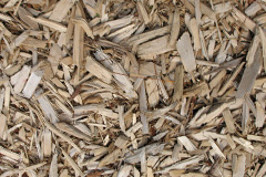 biomass boilers Carnmoney